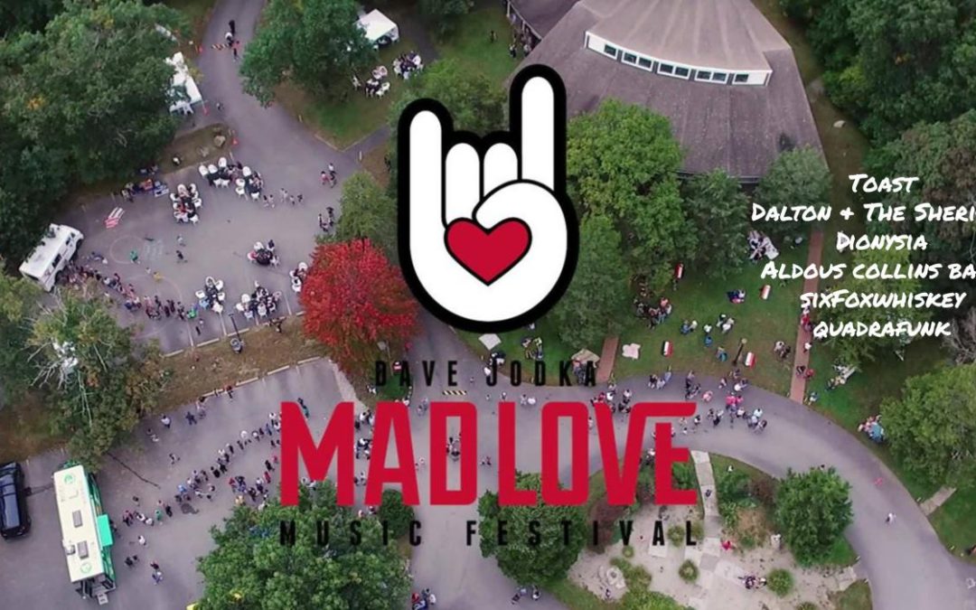 Artists Share The Thrill of Playing Mad Love Music Festival